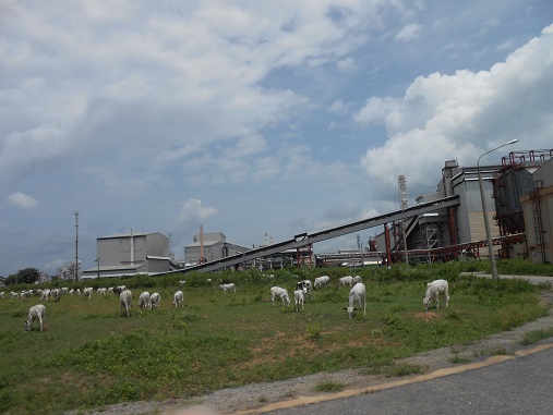 Ajaokuta Steel Company